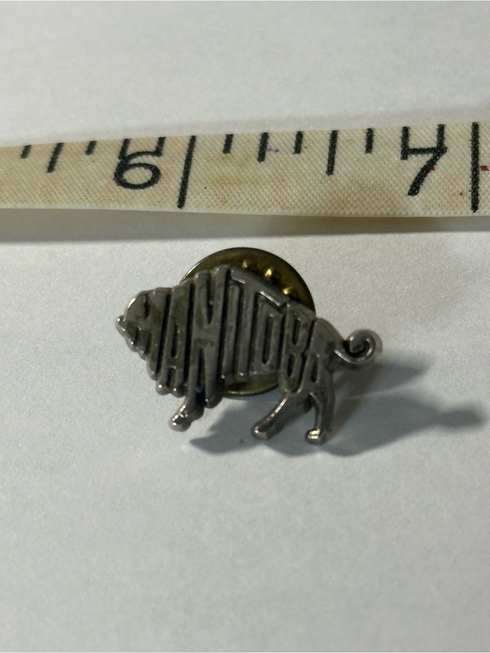 Vintage Manitoba pin